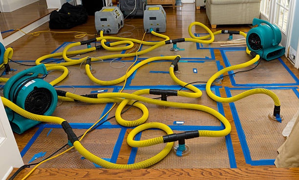 Professional Flood Damage Restoration technician working in Jamaica Plain, MA